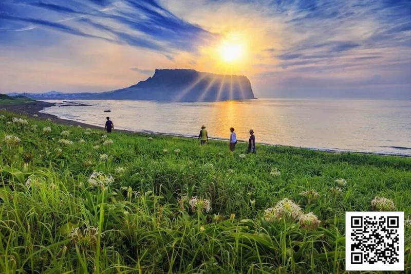 【DD扑克】别Till，来Jeju Chill——必去景点+路线打包+管家制定