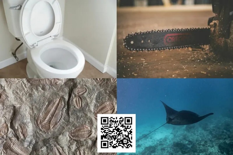 【DD扑克】扑克界谁的绰号最炸裂：电锯、魔鬼鱼、石化人、马桶？