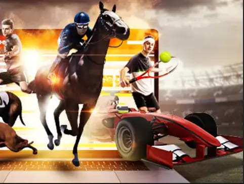 【DD扑克】大发娱乐《百练赛》：巅峰竞技，燃爆全场的英雄对决！