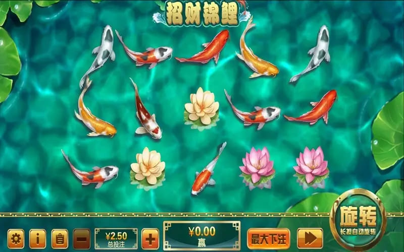 【DD扑克】大发娱乐全新力作 —— 招财锦鲤，带你畅游好运与财富