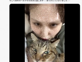 【DD扑克】爱猫过世了⋯东北美人的她也不做了!