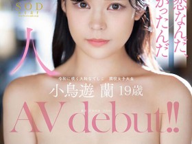 【DD扑克】小鳥遊蘭(小鸟游兰,Takanashi-Ran)出道作品STARS-600介绍及封面预览