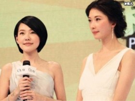 【DD扑克】小s和林志玲有什么过节, 小S首谈两人不合传闻说了什么