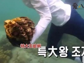 【DD扑克】李烈音或被判5年, 因节目或成最惨女嘉宾