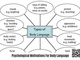 【DD扑克】《卡罗的马脚大全》精华内容总结,一篇文章读懂一本书!