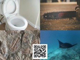 【DD扑克】扑克界谁的绰号最炸裂:电锯、魔鬼鱼、石化人、马桶?