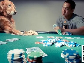 【DD扑克】他用垃圾牌狂输,却坚持“牌不重要”,结局令人深思