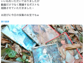 【DD扑克】作品被丢到山里⋯架乃ゆら(架乃由罗)这么看