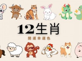 【DD扑克】幸运十二生肖老虎机|文化与娱乐的完美融合